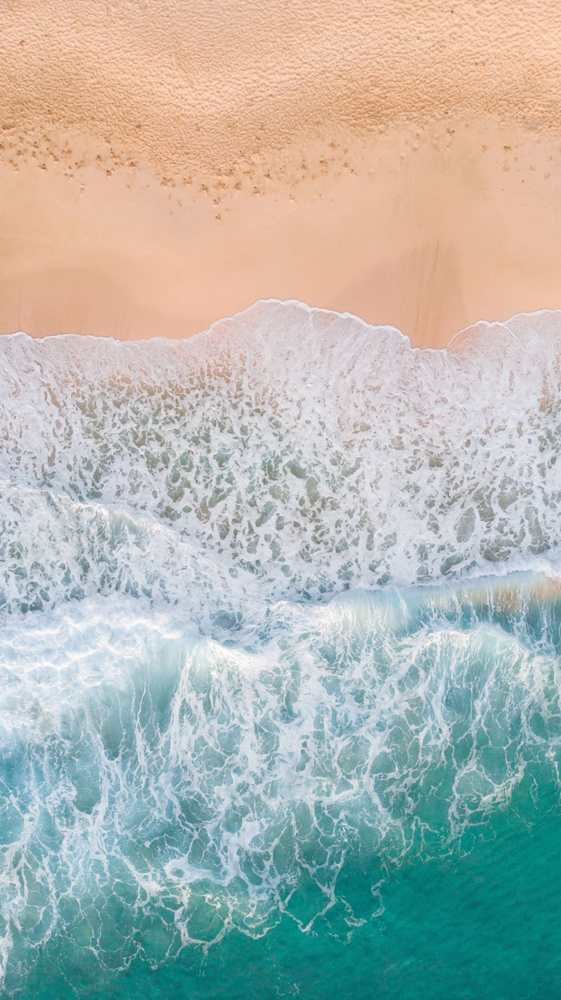 beach 1000